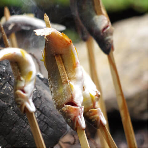 天然の鮎の美味しさをダイレクトに味わうことができる塩焼き。